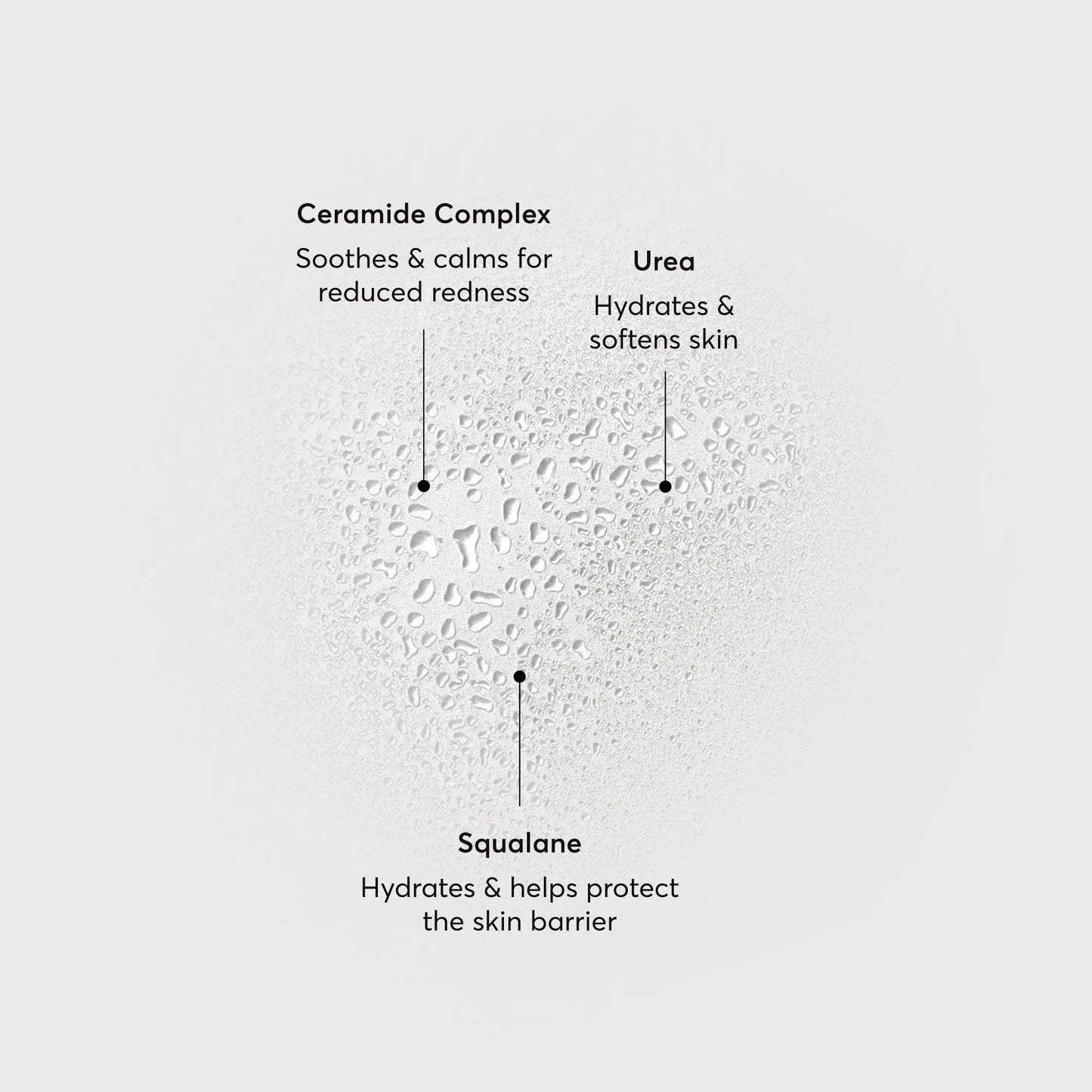 barrier-bounce-bi-phase-mist-z6 NATR-10167-Alt-Images-Barrier-Bounce-Bi-Phase-Toner-Mist_01.webp