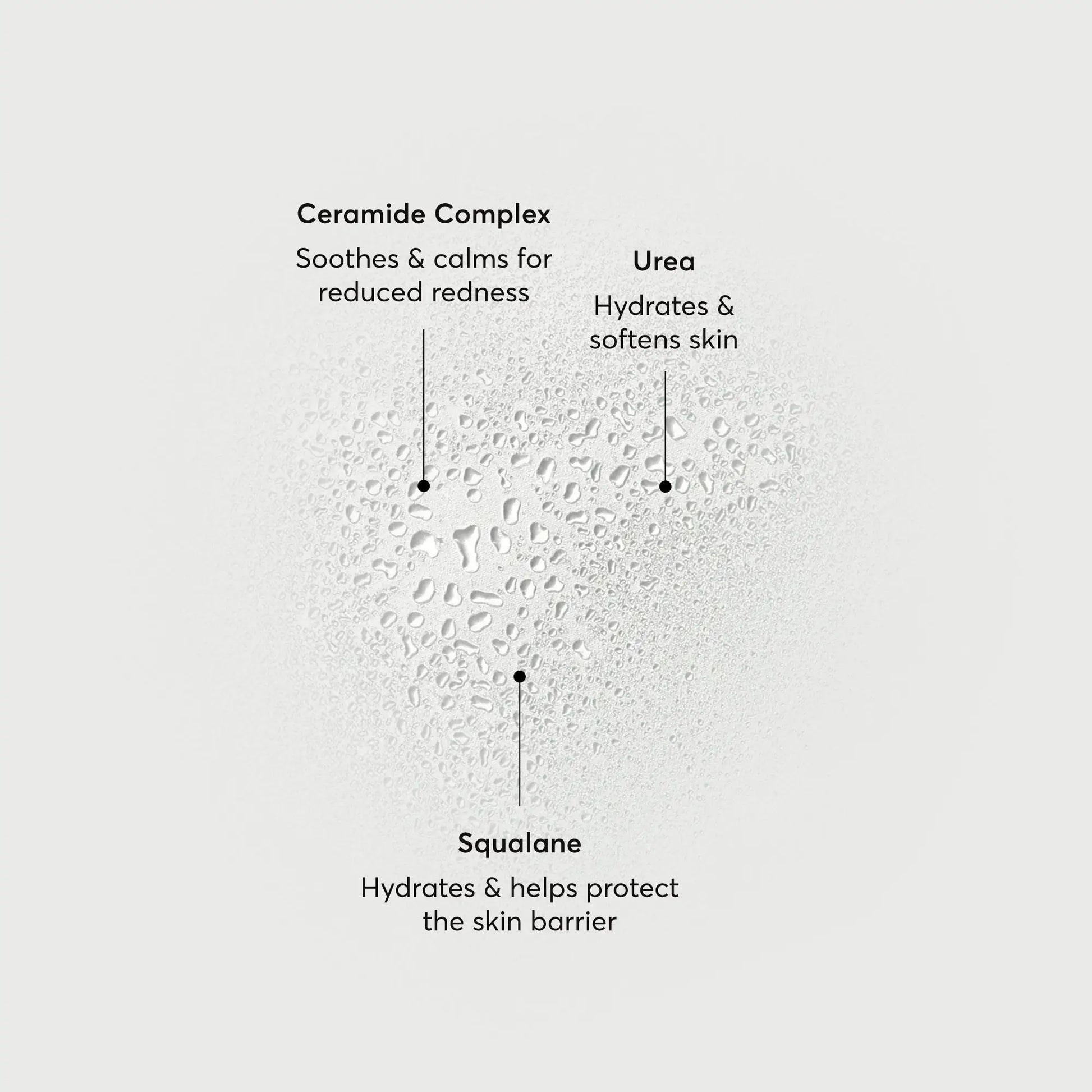 barrier-bounce-bi-phase-mist-z6 NATR-10167-Alt-Images-Barrier-Bounce-Bi-Phase-Toner-Mist_01.webp