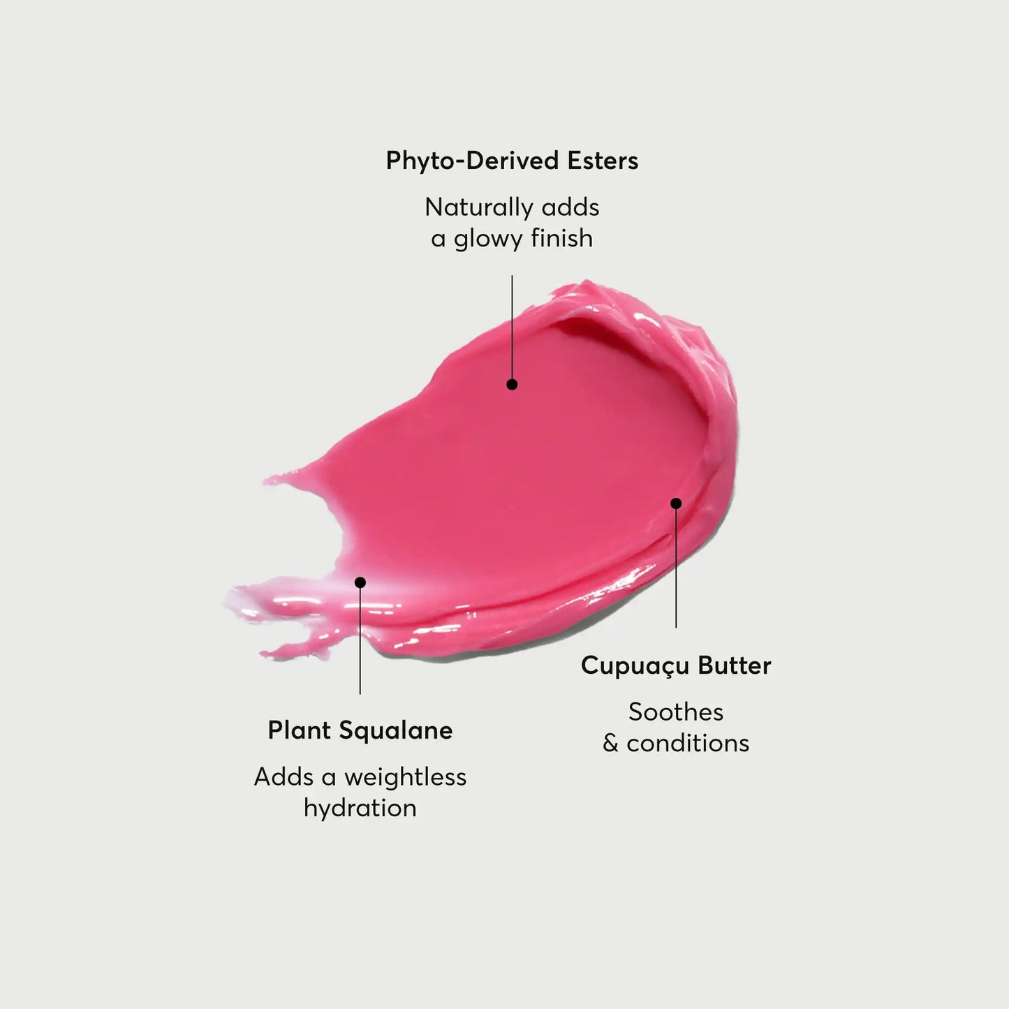 phyto-glow-lip-balm-camellia-n5 NATR-60075-Alt-Images-Phyto-Glow-Lip-Balm-Camellia-01.webp
